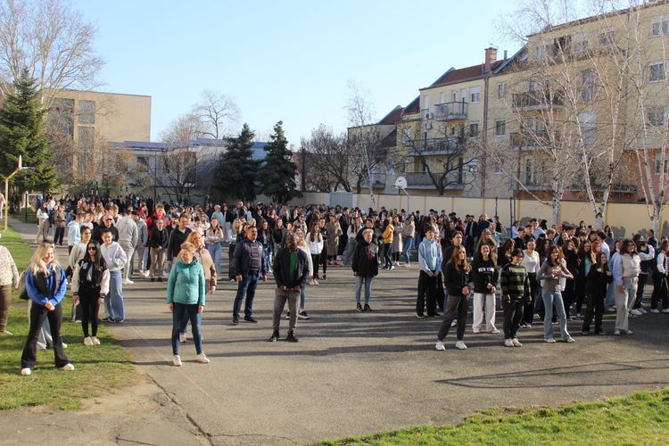 Vásárhelyi Egészség- és Sportnap