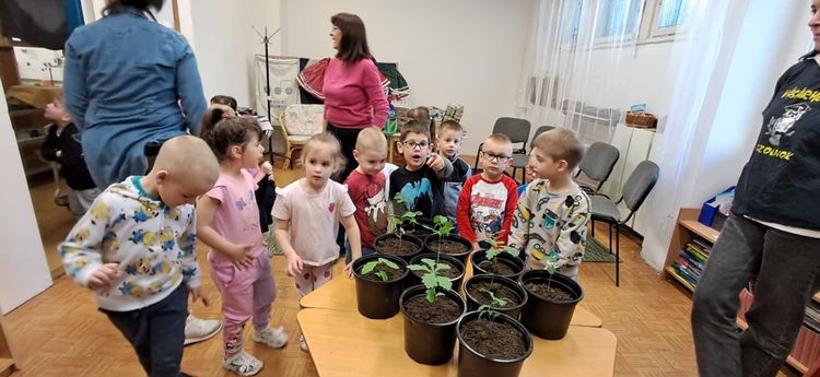 Fenntarthatósági témahét